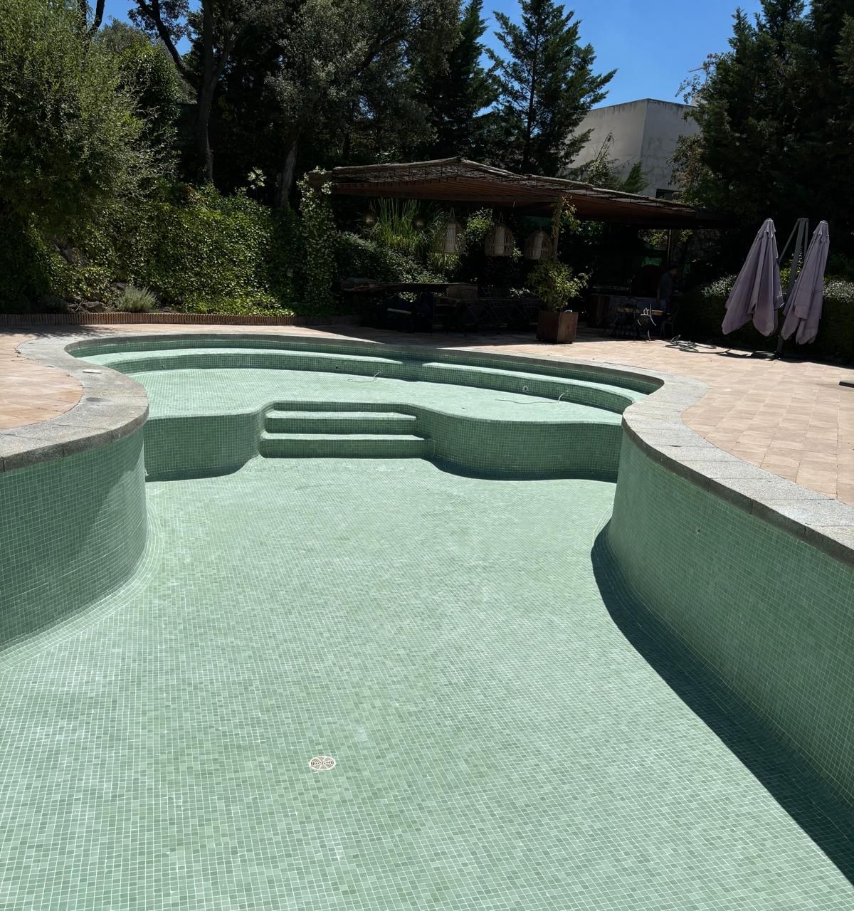 Piscina de forma libre con gresite verde y escalones anchos que hacen de zona de estar