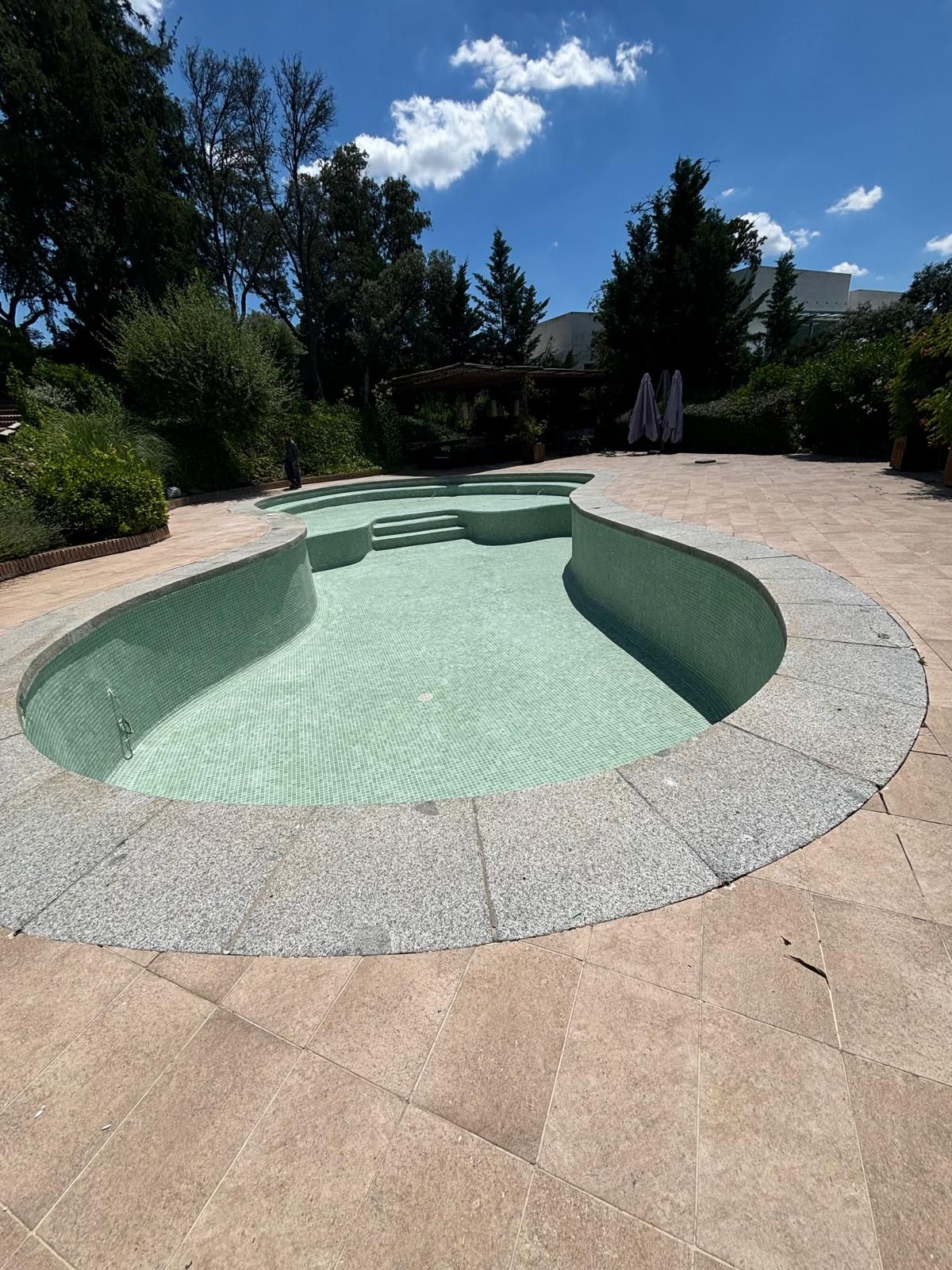 Piscina de forma libre con gresite verde, vaciada para trabajos